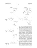 PROCESSES FOR FORMING PERMANENT HYDROPHILIC POROUS COATINGS ONTO A SUBSTRATE, AND POROUS MEMBRANES THEREOF diagram and image