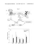 Markers for Viral Infections and Other Inflammatory Responses diagram and image