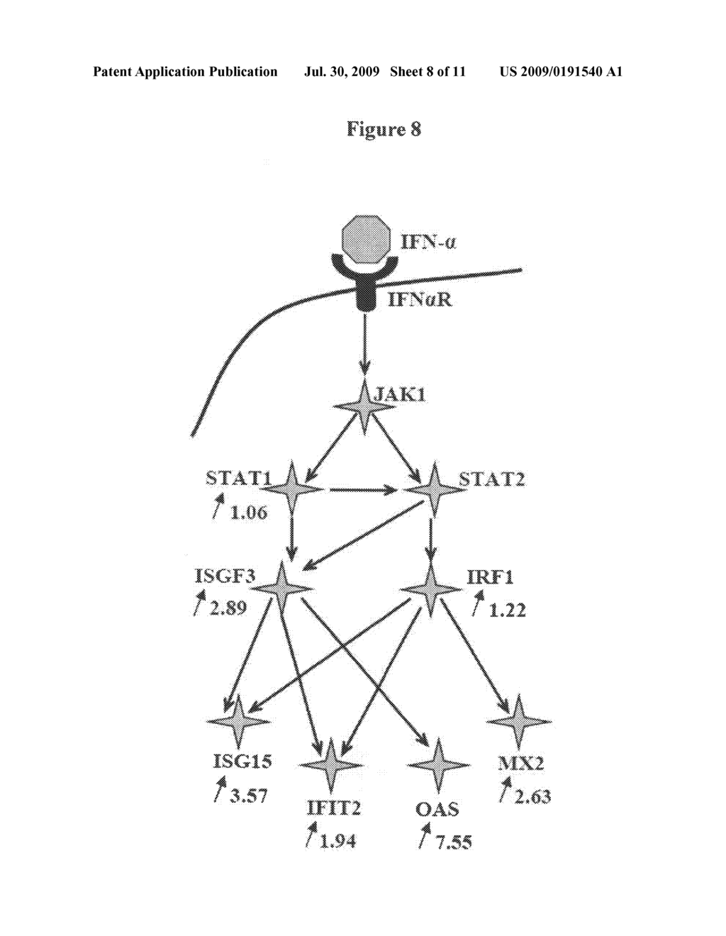 Markers for Viral Infections and Other Inflammatory Responses - diagram, schematic, and image 09