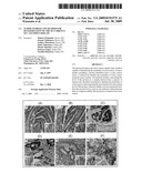 TUMOR MARKER AND METHOD FOR DETERMINATION OF THE OCCURRENCE OF CANCEROUS DISEASE diagram and image