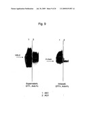 METHOD FOR HIGH-LEVEL SECRETORY PRODUCTION OF PROTEIN diagram and image