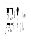 METHOD FOR HIGH-LEVEL SECRETORY PRODUCTION OF PROTEIN diagram and image