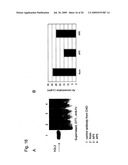 METHOD FOR HIGH-LEVEL SECRETORY PRODUCTION OF PROTEIN diagram and image