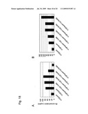 METHOD FOR HIGH-LEVEL SECRETORY PRODUCTION OF PROTEIN diagram and image