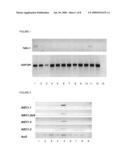 PLANT EGG CELL TRANSCRIPTIONAL CONTROL SEQUENCES diagram and image