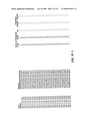 Insulin and IGF-1 Receptor Agonists and Antagonists diagram and image