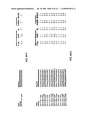 Insulin and IGF-1 Receptor Agonists and Antagonists diagram and image