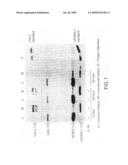 Methods for Treating or Preventing Neoplasias diagram and image