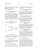 Methods for Treating or Preventing Neoplasias diagram and image