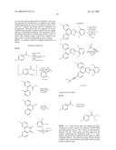 Methods for Treating or Preventing Neoplasias diagram and image