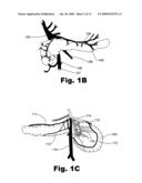 METHODS AND SYSTEMS OF TREATING ISCHEMIA PAIN IN VISCERAL ORGANS diagram and image