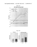 Conditional-Stop Dimerizable Caspase Transgenic Animals diagram and image