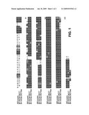 BRASSICA INDEHISCENT1 SEQUENCES diagram and image