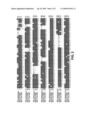 BRASSICA INDEHISCENT1 SEQUENCES diagram and image