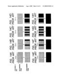 IMAGE DISPLAY METHOD AND APPARATUS diagram and image