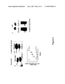 CD38 AND OBESITY diagram and image