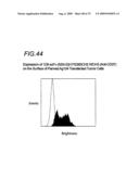 BINDING CONSTRUCTS AND METHODS FOR USE THEREOF diagram and image