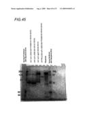 BINDING CONSTRUCTS AND METHODS FOR USE THEREOF diagram and image