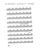 Nucleic acids encoding recombinant 56 and 82 kDa antigents from gametocytes of Eimeria maxima and their uses diagram and image