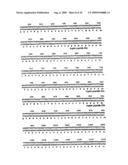 Nucleic acids encoding recombinant 56 and 82 kDa antigents from gametocytes of Eimeria maxima and their uses diagram and image