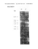 Nucleic acids encoding recombinant 56 and 82 kDa antigents from gametocytes of Eimeria maxima and their uses diagram and image