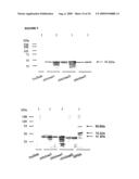 Nucleic acids encoding recombinant 56 and 82 kDa antigents from gametocytes of Eimeria maxima and their uses diagram and image