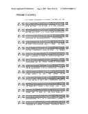 Nucleic acids encoding recombinant 56 and 82 kDa antigents from gametocytes of Eimeria maxima and their uses diagram and image