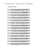 Nucleic acids encoding recombinant 56 and 82 kDa antigents from gametocytes of Eimeria maxima and their uses diagram and image