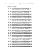 Nucleic acids encoding recombinant 56 and 82 kDa antigents from gametocytes of Eimeria maxima and their uses diagram and image