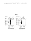 Nucleic acids encoding recombinant 56 and 82 kDa antigents from gametocytes of Eimeria maxima and their uses diagram and image