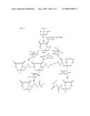 STABILIZED, STERILIZED COLLAGEN SCAFFOLDS WITH ACTIVE ADJUNCTS ATTACHED diagram and image