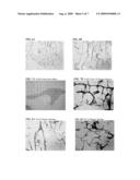 STABILIZED, STERILIZED COLLAGEN SCAFFOLDS WITH ACTIVE ADJUNCTS ATTACHED diagram and image