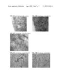 STABILIZED, STERILIZED COLLAGEN SCAFFOLDS WITH ACTIVE ADJUNCTS ATTACHED diagram and image