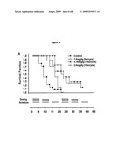 Liposomal Formulations of Hydrophobic Lactone Drugs in the Presence of Metal Ions diagram and image