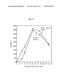 Kimchi container having improved fermentation and ripening function, and kimchi ripening method using the same diagram and image