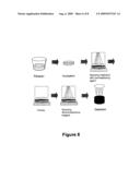 Composition for increasing microorganism wall permeability and method for detecting said microorganisms on a membrane diagram and image