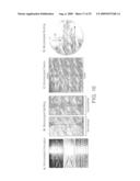 VITRO EVOLUTION IN MICROFLUIDIC SYSTEMS diagram and image