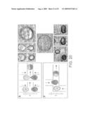 VITRO EVOLUTION IN MICROFLUIDIC SYSTEMS diagram and image