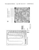 VITRO EVOLUTION IN MICROFLUIDIC SYSTEMS diagram and image