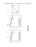 METHODS AND NUCLEIC ACIDS FOR THE ANALYSIS OF GENE EXPRESSION ASSOCIATED WITH THE PROGNOSIS OF PROSTATE CELL PROLIFERATIVE DISORDERS diagram and image