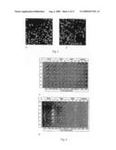 Assays Using Nanoparticles diagram and image