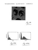 Assays Using Nanoparticles diagram and image