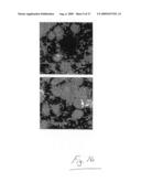 Assays Using Nanoparticles diagram and image