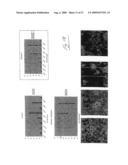 Assays Using Nanoparticles diagram and image
