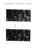 Assays Using Nanoparticles diagram and image