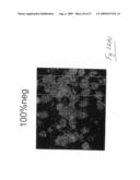 Assays Using Nanoparticles diagram and image