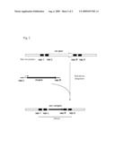 Method for Producing an L-Amino Acid Using a Bacterium of the Enterobacteriaceae Family Having Attenuated Expression of the nac Gene diagram and image