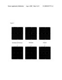 NUCLEASE ON CHIP diagram and image