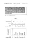 Peptides for Inhibiting Transglutaminase diagram and image