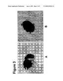 CELL CO-CULTURE FOR HAIR FOLLICLE PRODUCTION diagram and image